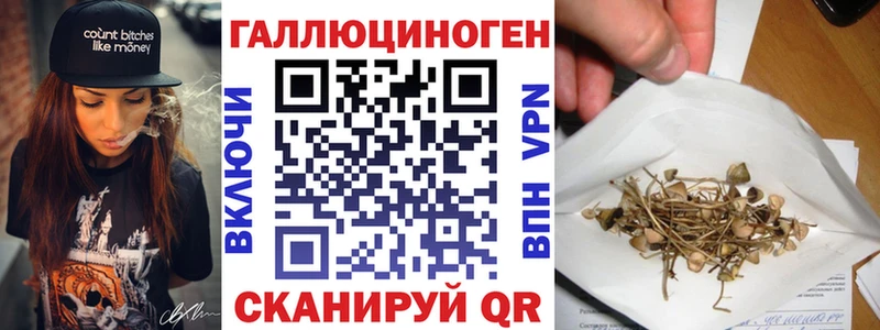 гидра сайт  Новоалександровск  Галлюциногенные грибы мухоморы 