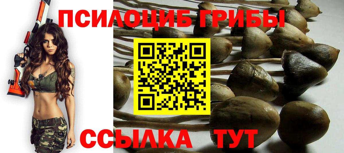 Псилоцибиновые грибы GOLDEN TEACHER Новоалександровск