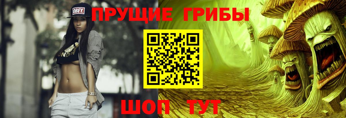 закладка  Псилоцибиновые грибы мухоморы  Галлюциногенные грибы мухоморы  Вход с VPN  Новоалександровск 